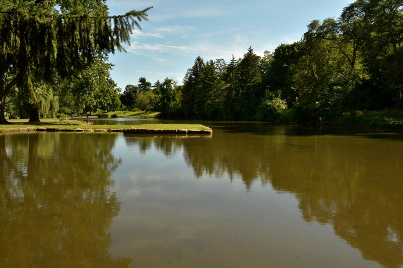 Pond with Small Island — Green