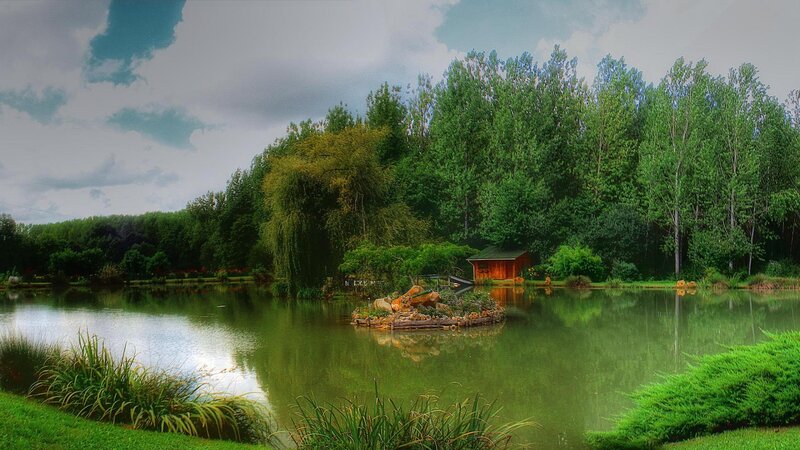 Pond with Small Island