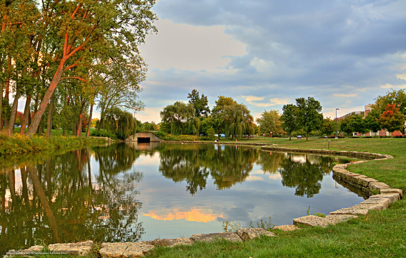 Pond with Stone Bridge — Green