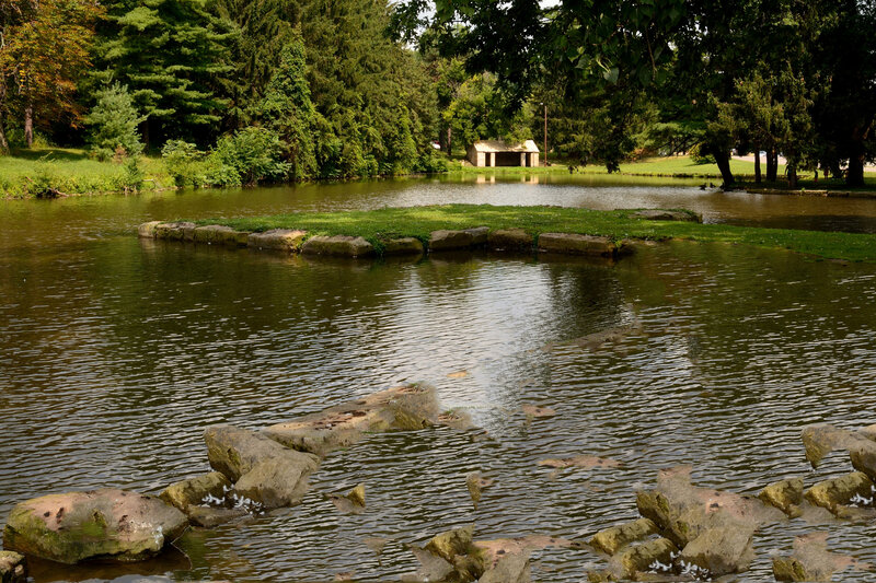 Pond with Stone Path