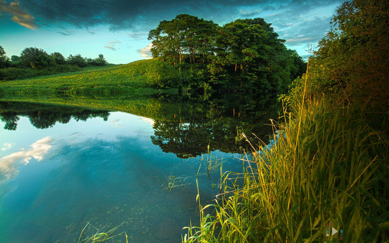 Pond with Tree Reflection — Green