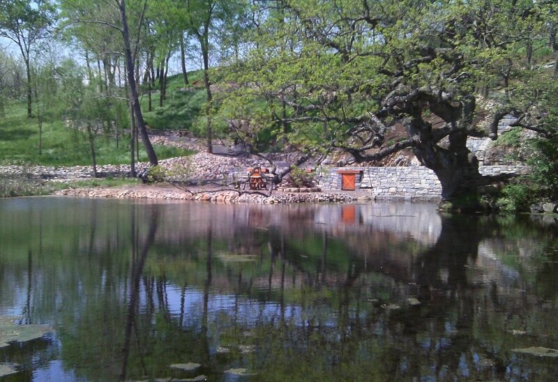 Pond with Tree Reflection