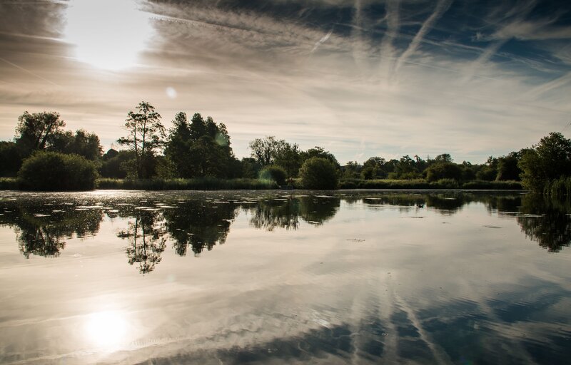 Pond with Tree Reflections — Blue, Serene, Sunset