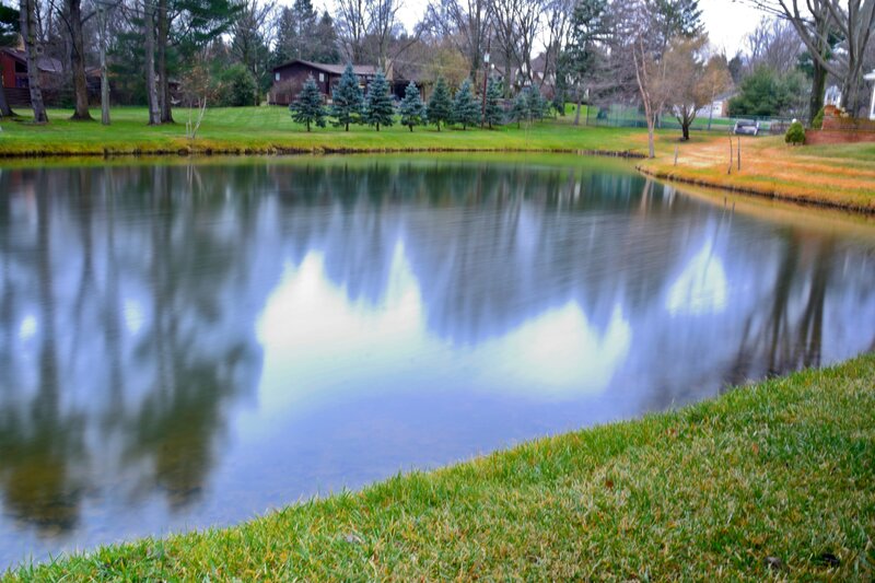 Pond with Tree Reflections — Green, Calm, Autumn