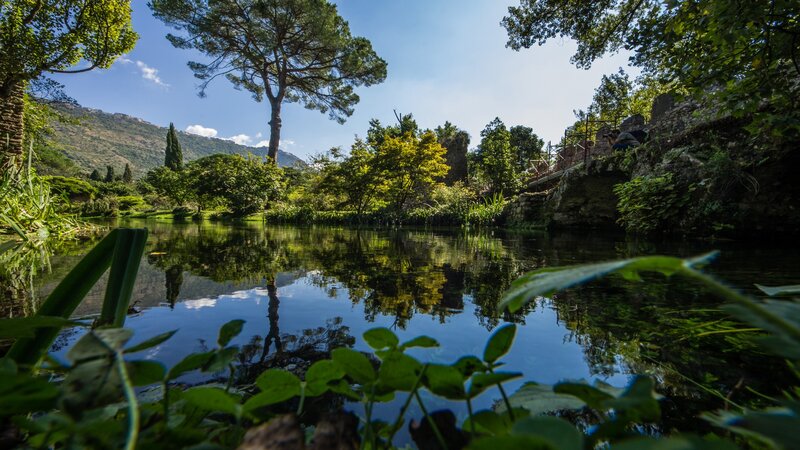 Pond with Tree Reflections — Green, Serene, Afternoon, Photograph, Trees, Mountain