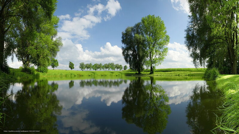 Pond with Tree Reflections — Green, Serene, Afternoon, Photograph, Trees, Sky, Clouds, Grass