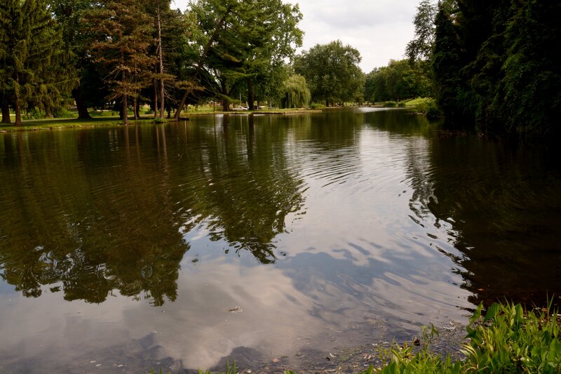 Pond with Tree Reflections — Green, Serene, Afternoon, Photograph, Trees, Sky