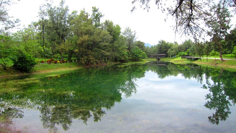 Pond with Tree Reflections — Green, Serene, Afternoon, Photograph, Trees