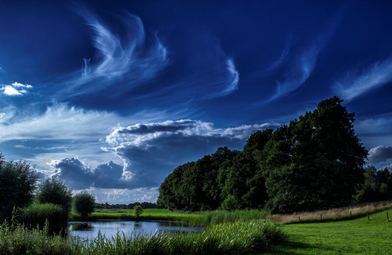 Pond with Trees and Clouds