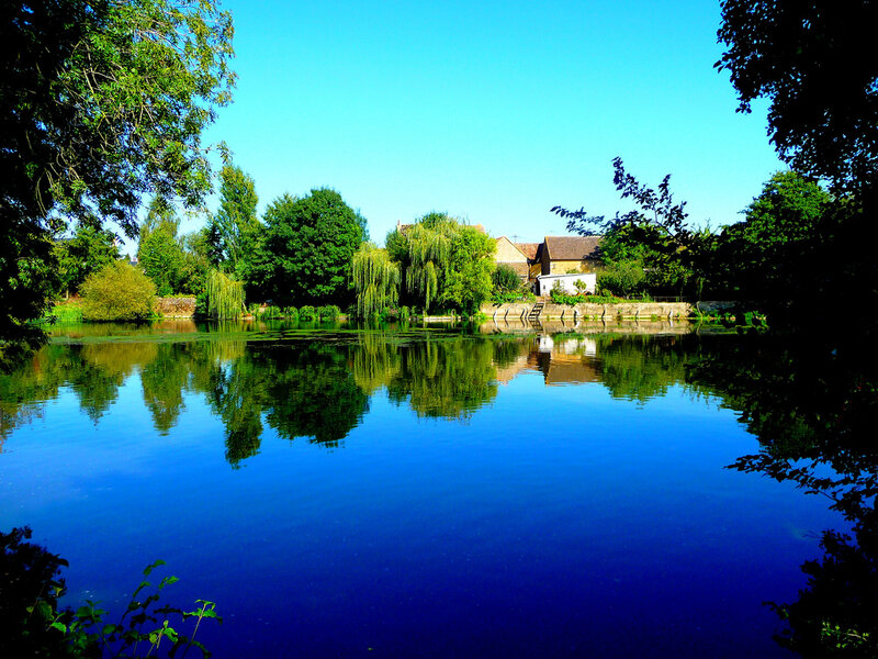 Pond with Trees and Houses