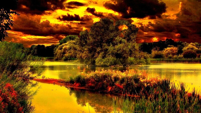 Pond with Trees at Sunset