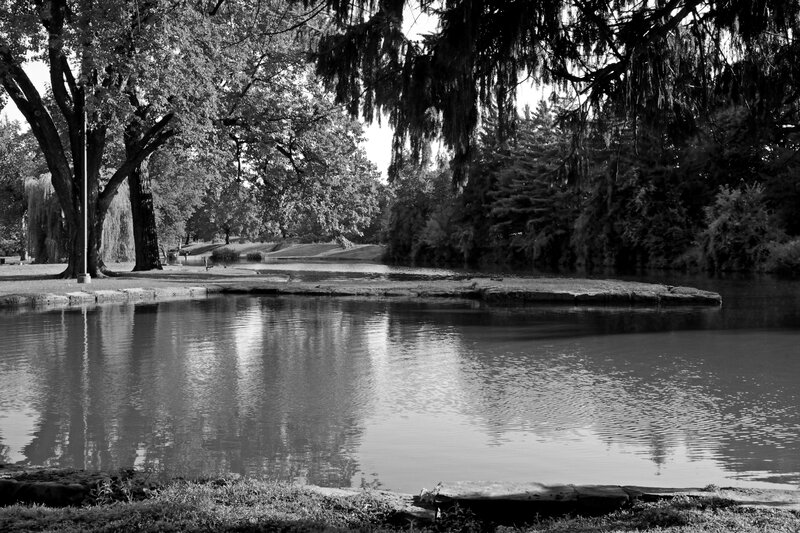 Pond with Trees — Black