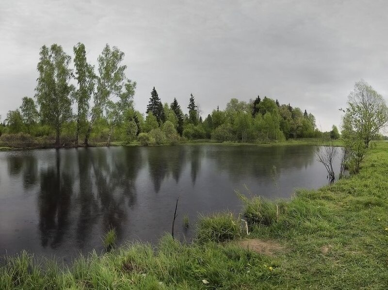 Pond with Trees — Green, Calm, Spring