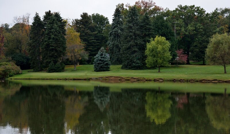 Pond with Trees — Green, Calm