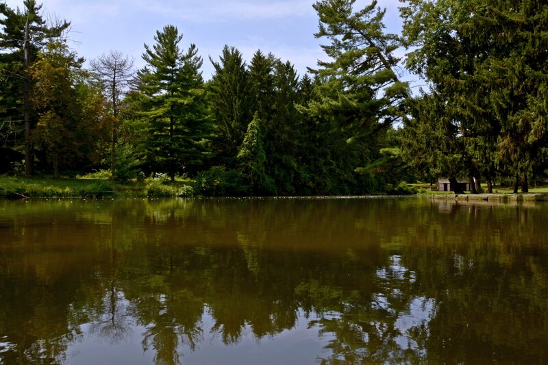 Pond with Trees — Green, Serene