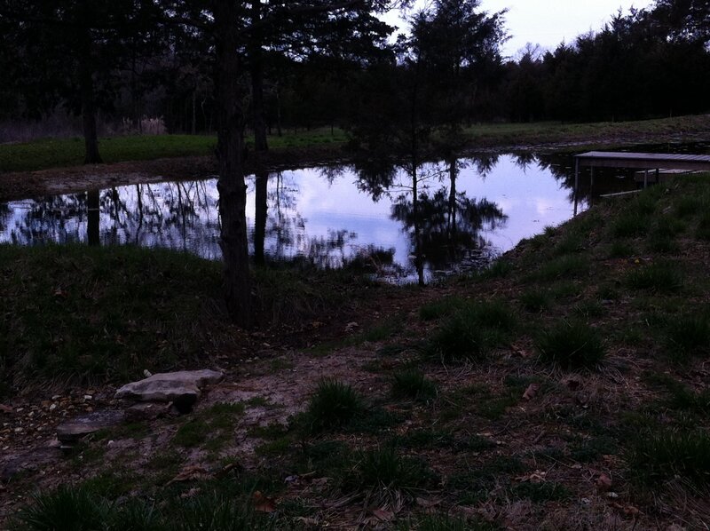 Pond with Trees — Green