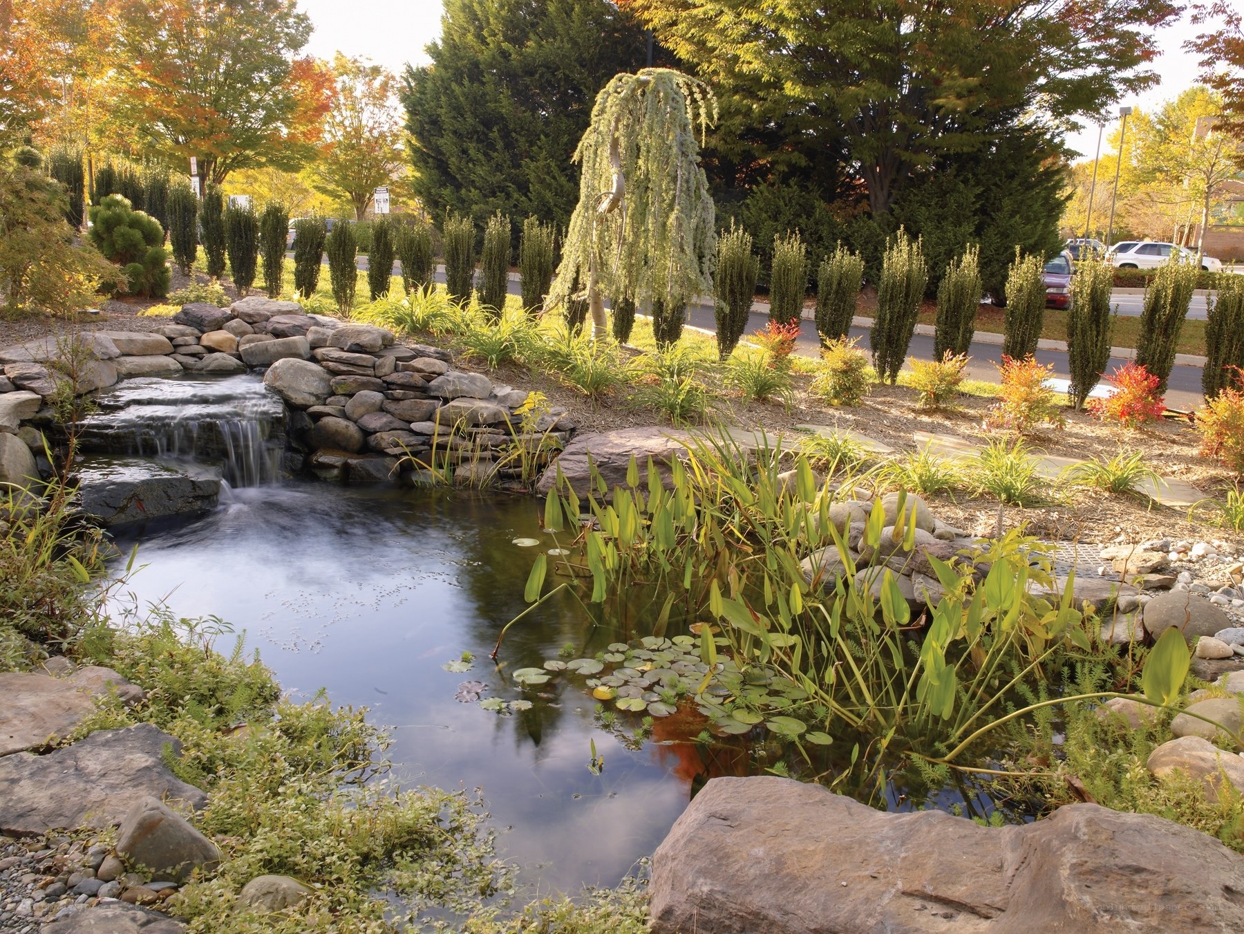 Pond with waterfall and garden