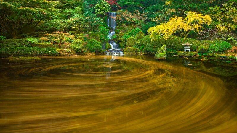 Pond with Waterfall — Green, Serene, Autumn
