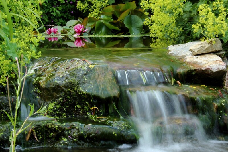 Pond with Waterfall — Green, Serene, Summer