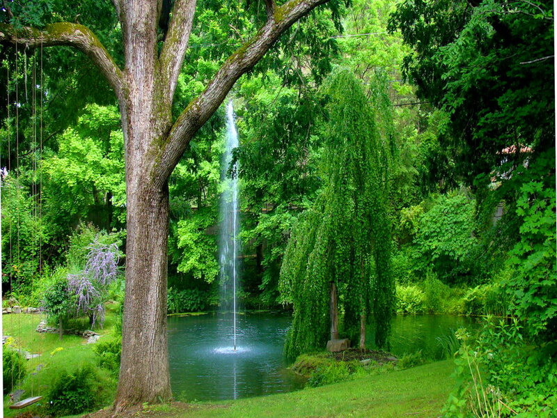 Pond with Waterfall — Green, Serene