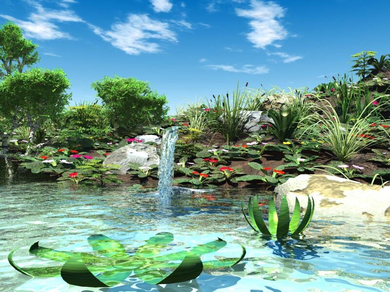 Pond with Waterfall
