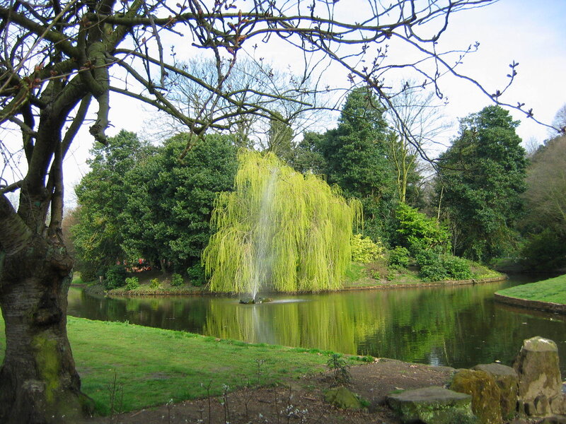 Pond with weeping willow and fountain