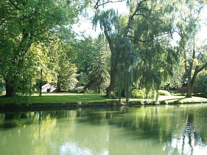 Pond with Weeping Willow — Green, Serene, Afternoon, Photograph