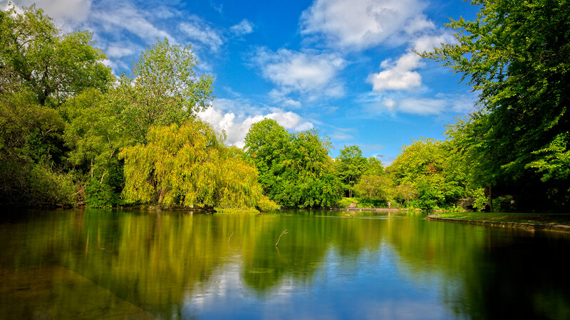 Pond with Weeping Willow — Green, Serene, Afternoon