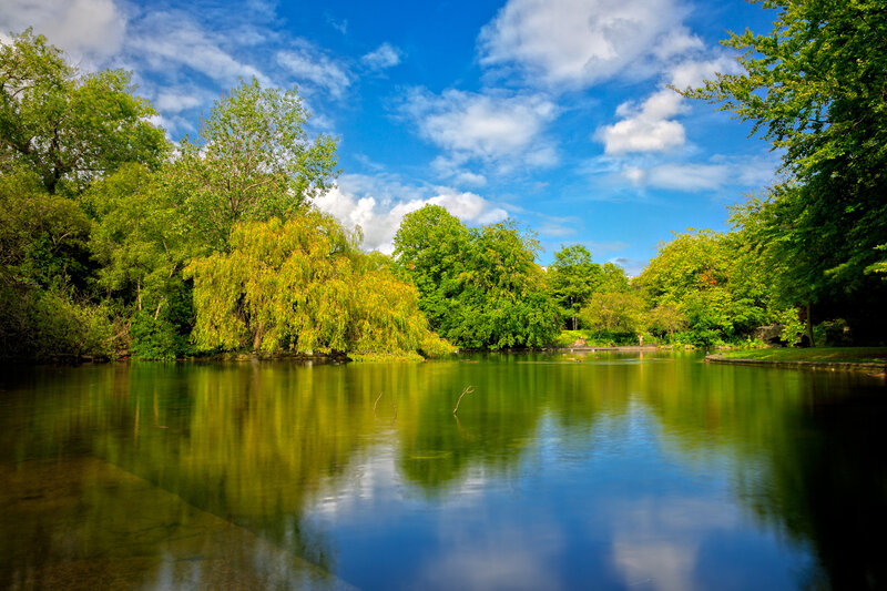 Pond with Weeping Willow — Green, Serene