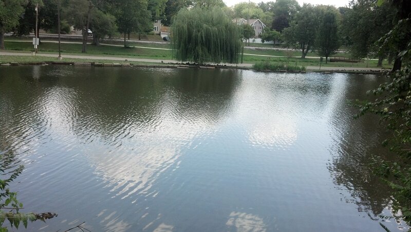 Pond with Weeping Willow — Green