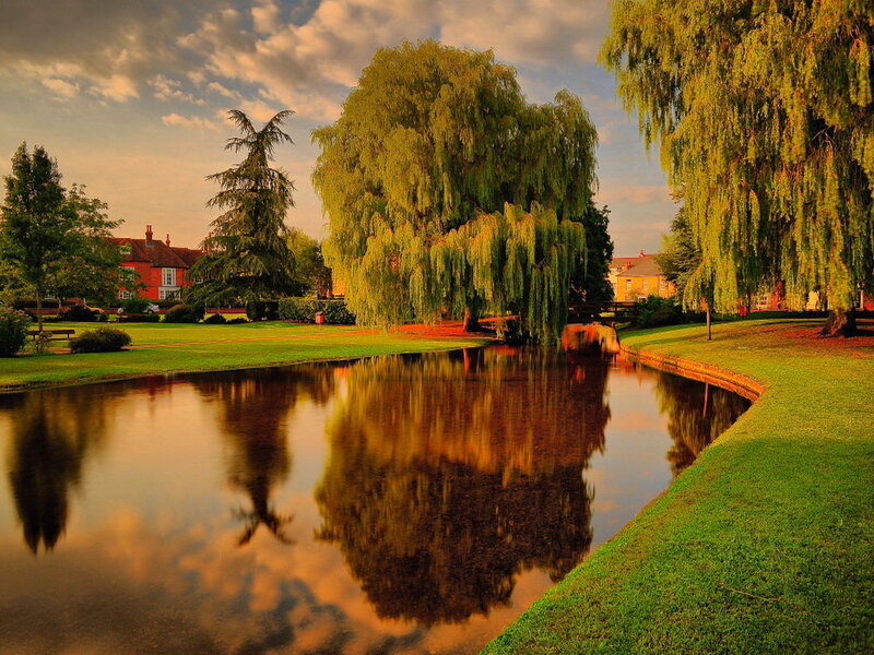 Pond with Weeping Willows