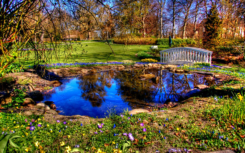 Pond with White Bridge