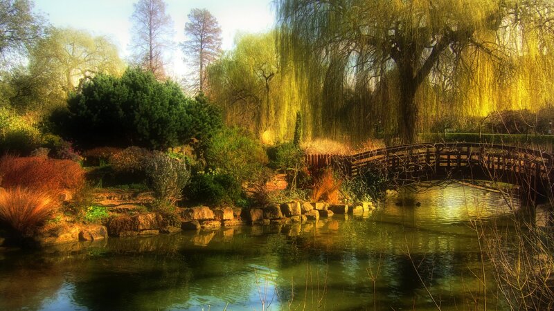 Pond with Wooden Bridge — Green