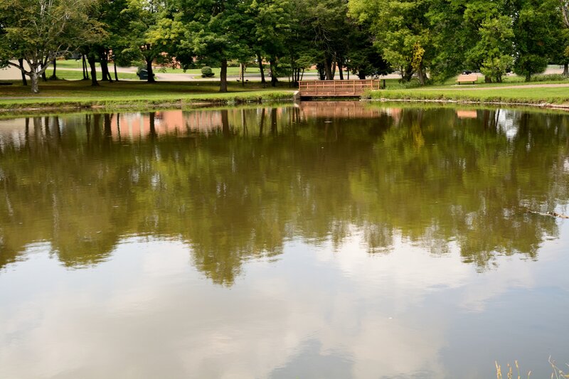 Pond with Wooden Bridge