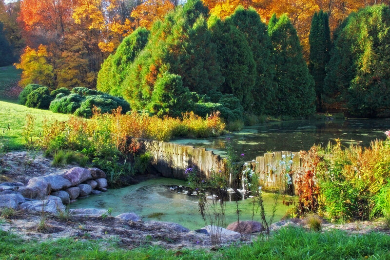Pond with Wooden Dam