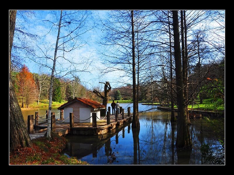 Pond with wooden dock and cabin