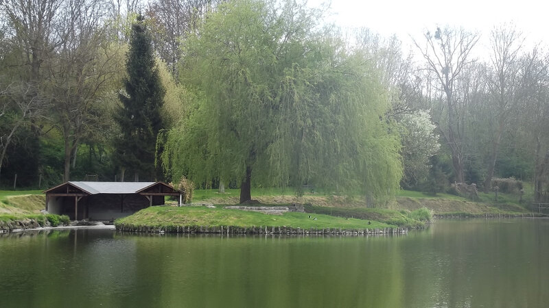 Pond with Wooden Shelter