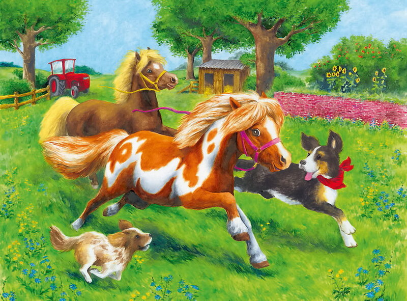 Ponies and Dogs Running