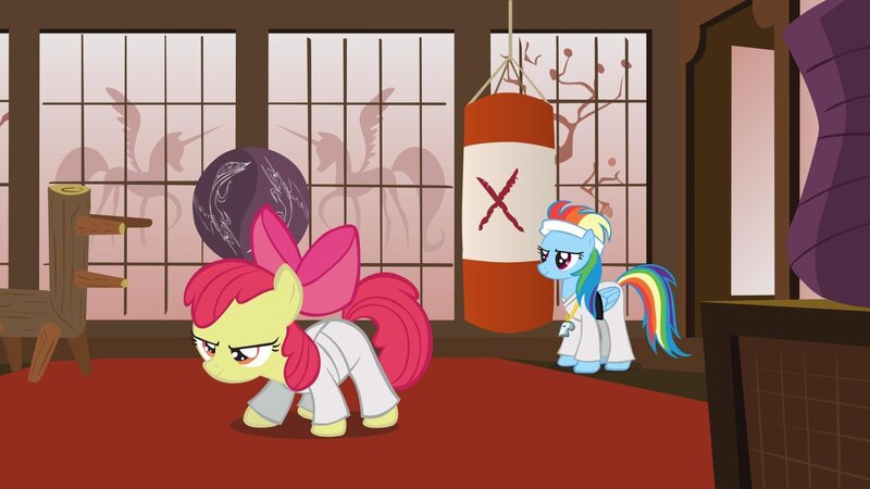 ponies in a dojo