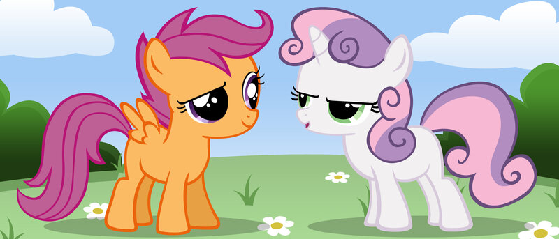ponies in a field