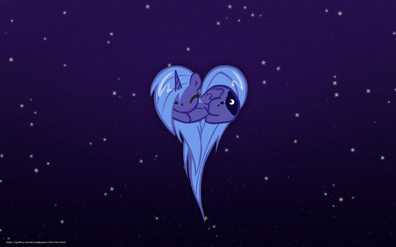 ponies in heart shape