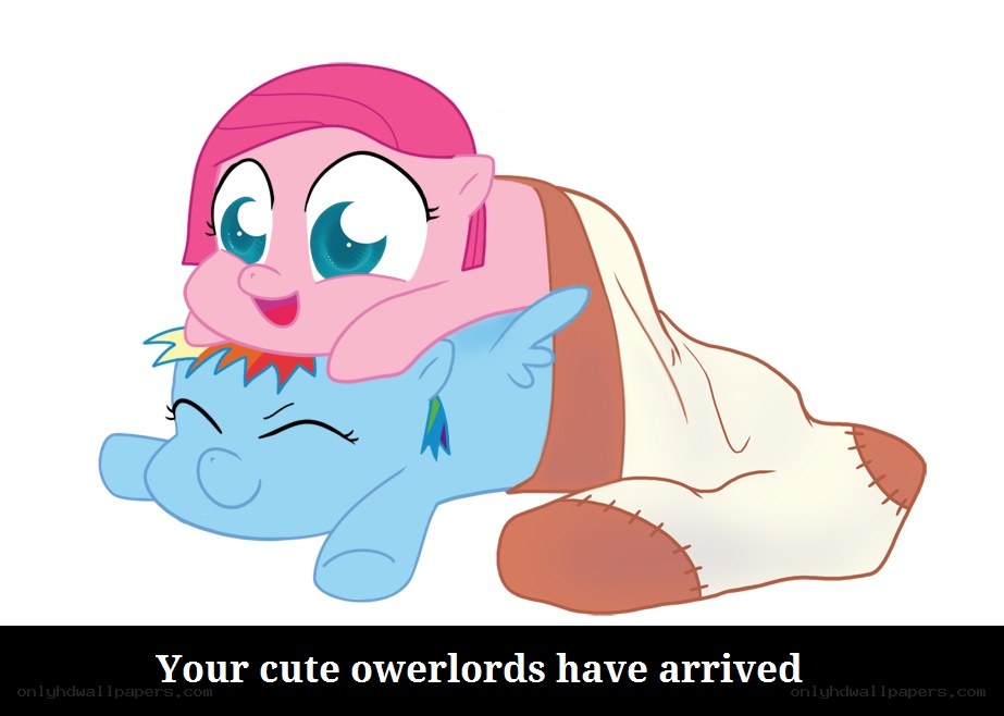 ponies with a blanket