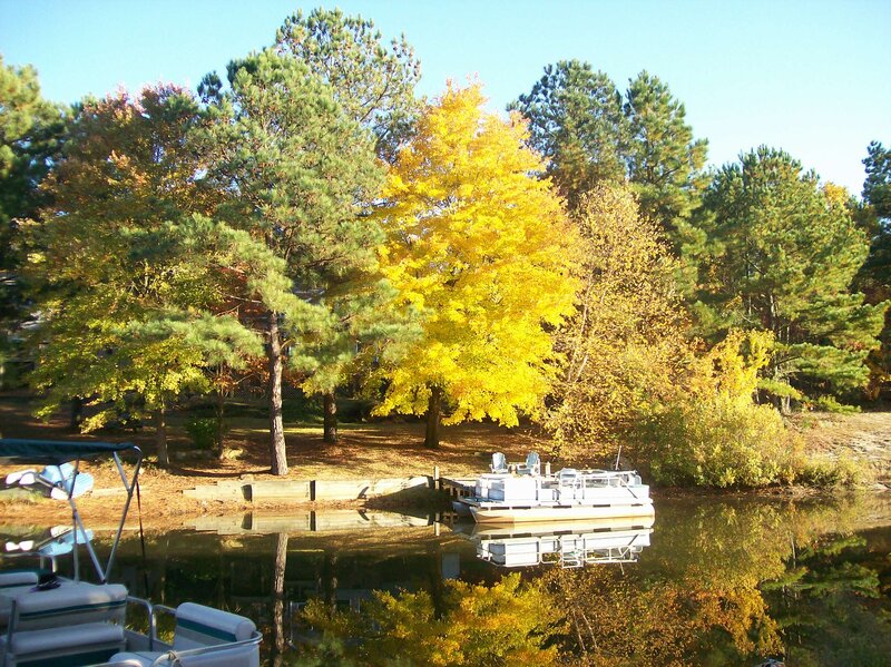 Pontoon Boats on Lake