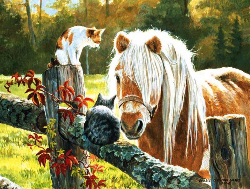 Pony and Cats on Fence