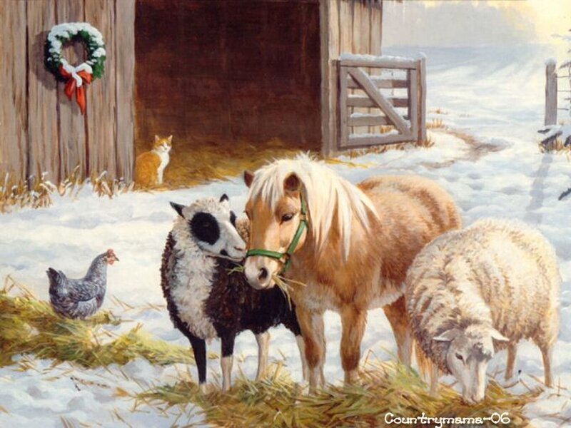 Pony and Sheep in Snow — White, Peaceful