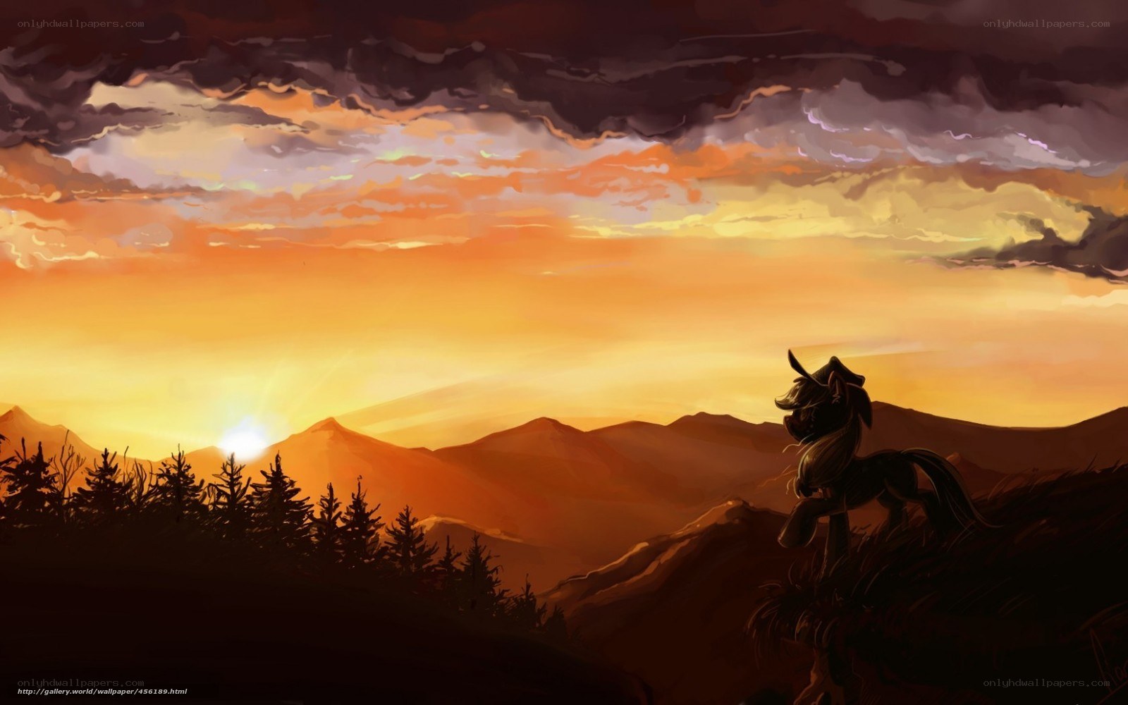 pony at sunset on mountain
