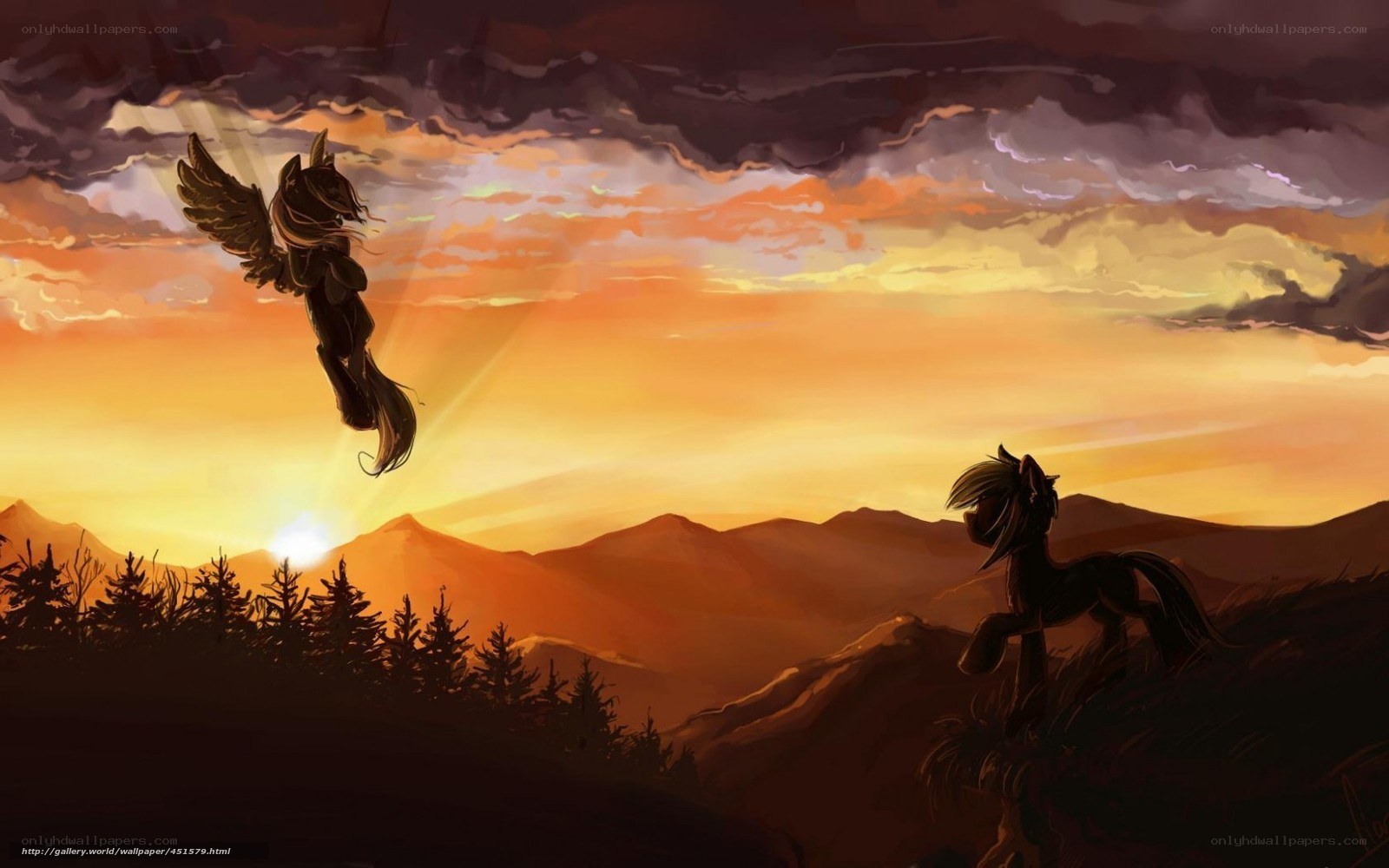 Pony at sunset with flying companion
