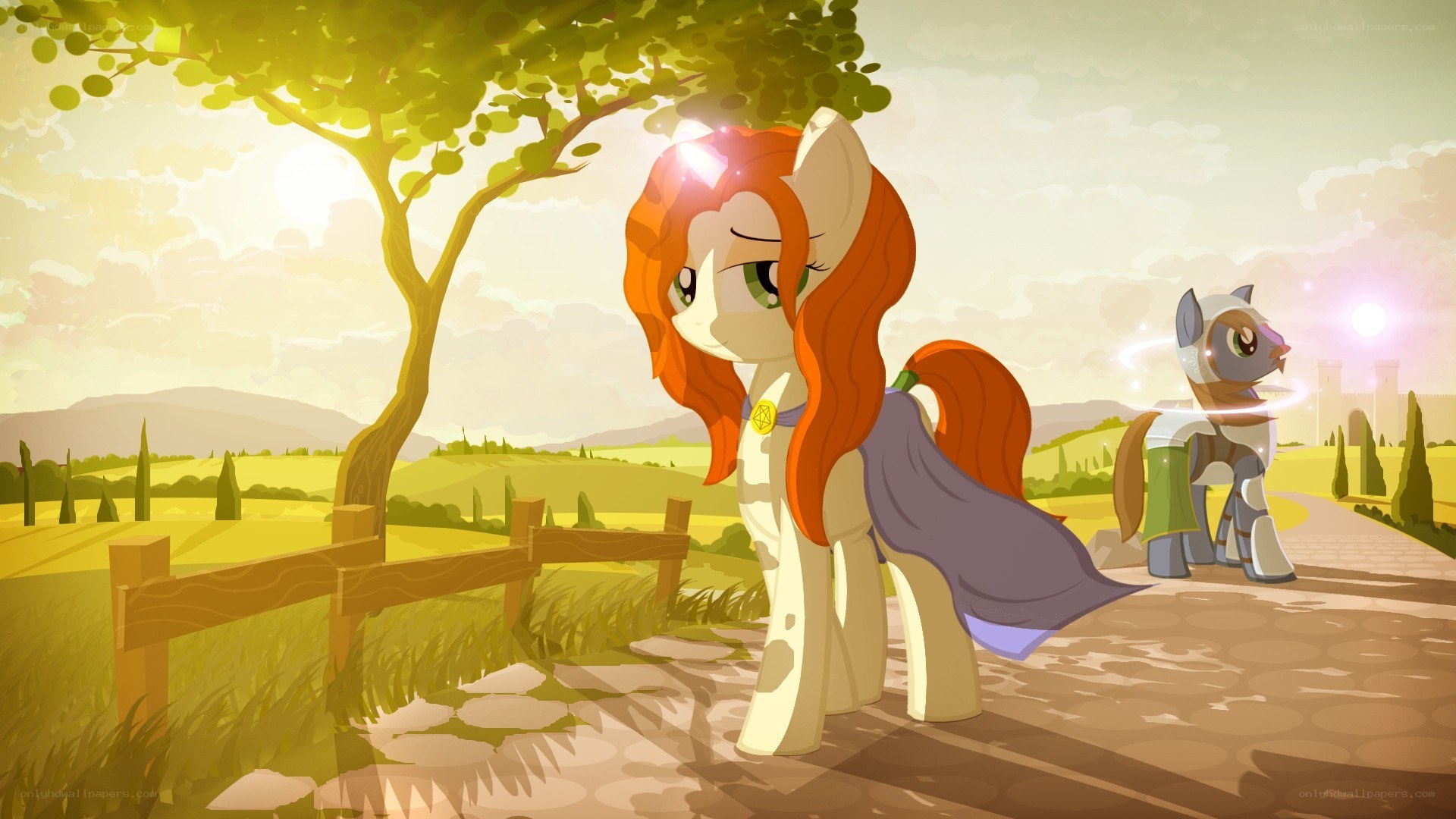 pony characters in a field