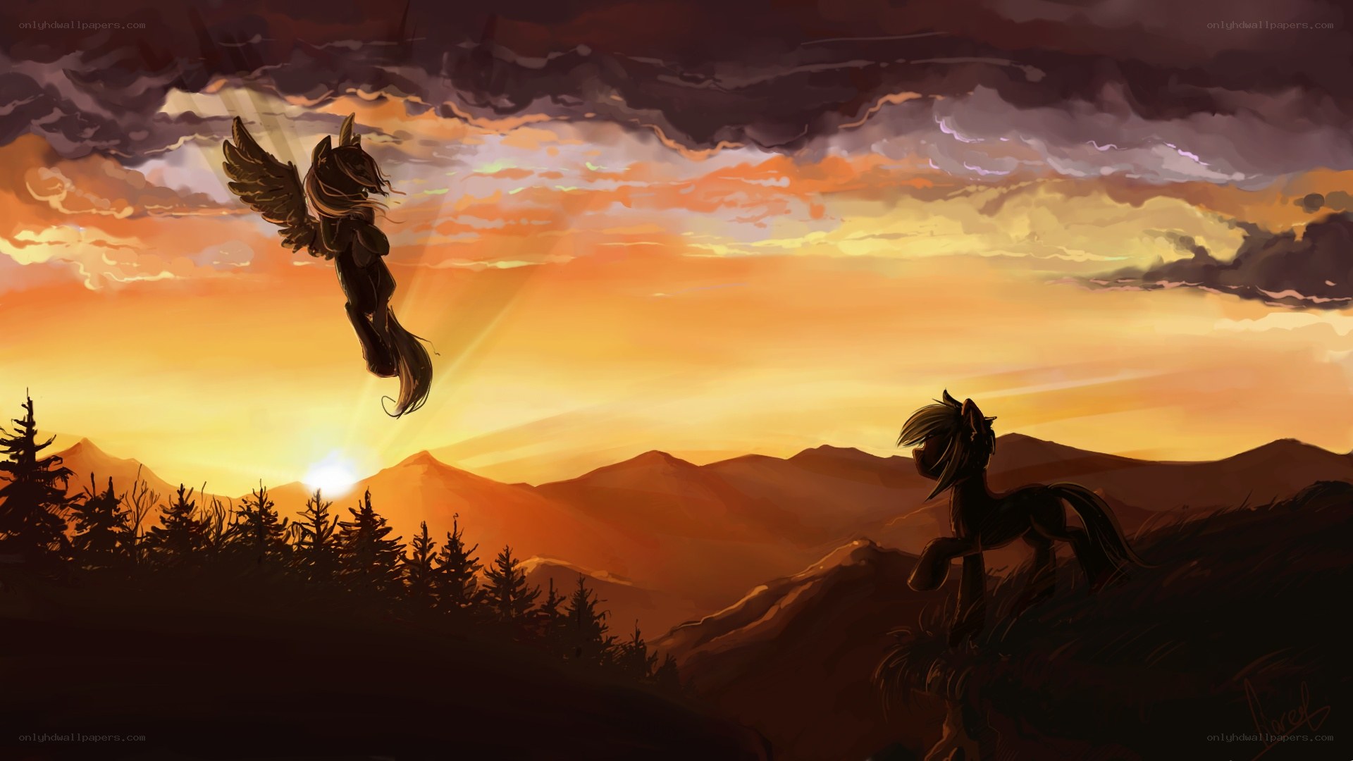 pony flying at sunset