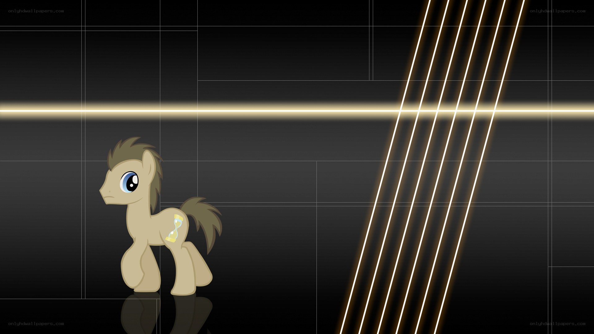 pony in a dark room